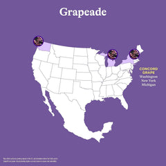 Spindrift Grapeade Can 12 Ounce (Pack of 24)
