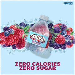 SPLASH REFRESHER Flavored Water Bottles, Wild Berry Flavor - 24 Pack | Refreshing Flavored Bottled Water with Electrolytes - Zero Sugar & Zero Calories - 8 Fl Oz