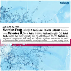 Splash Blast Refresher Wild Berry | 16.9 Fl Oz | Plastic Bottle | Pack of 12