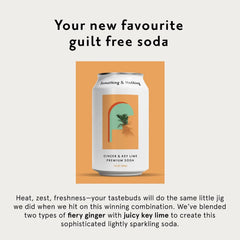 Something & Nothing Ginger & Lime, Flavored Sparkling Water, 12 Oz, 12-Pack