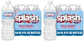 Splash Blast Refresher Wild Berry | 16.9 Fl Oz | Plastic Bottle | Pack of 12