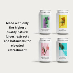 Something & Nothing Flavored Sparkling Water, Variety Pack, 12 Oz, 12-Pack