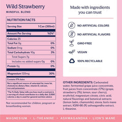 TRIP Calm Drink, Non-Alcoholic Adaptogen Mocktail, Wild Strawberry, 12 pack