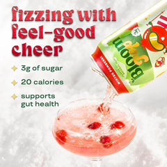 Bloom Pop Prebiotic Soda 12 Pack, Winter Pomberry Flavor, 12oz Cans | Prebiotic Soda for Gut Health, Low Calorie Soda, No Caffeine, Healthy Soft Drink Alternative