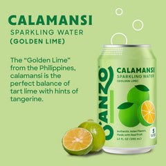 Sanzo Flavored Sparkling Water - Golden Lime Seltzer (Calamansi) | 12oz, 12 Pack, Low Calorie Low Sugar, Craft Asian Drinks, Vegan Gluten Free Carbonated Flavored Water, Fizzy Healthy Drinks