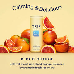 TRIP Calm Drink, Non-Alcoholic Adaptogen Mocktail Seltzer Blood Orange 12pk