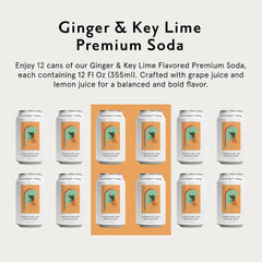 Something & Nothing Ginger & Lime, Flavored Sparkling Water, 12 Oz, 12-Pack