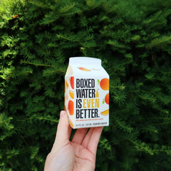 Mini Mango Boxed Water — 8.4oz Carton — Fresh Fruit Flavors — 0 Calories, 0 Sugar