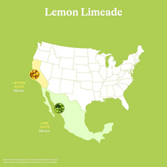 Spindrift Lemon Limeade Can 12 Ounce (Pack of 24)