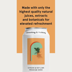 Something & Nothing Ginger & Lime, Flavored Sparkling Water, 12 Oz, 12-Pack