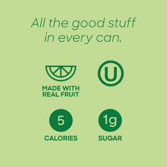 Sanzo Flavored Sparkling Water - Golden Lime Seltzer (Calamansi) | 12oz, 12 Pack, Low Calorie Low Sugar, Craft Asian Drinks, Vegan Gluten Free Carbonated Flavored Water, Fizzy Healthy Drinks