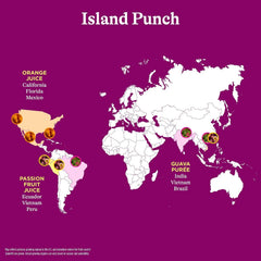Spindrift Island Punch Can 12 Ounce (Pack of 24)